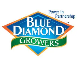 Current organization