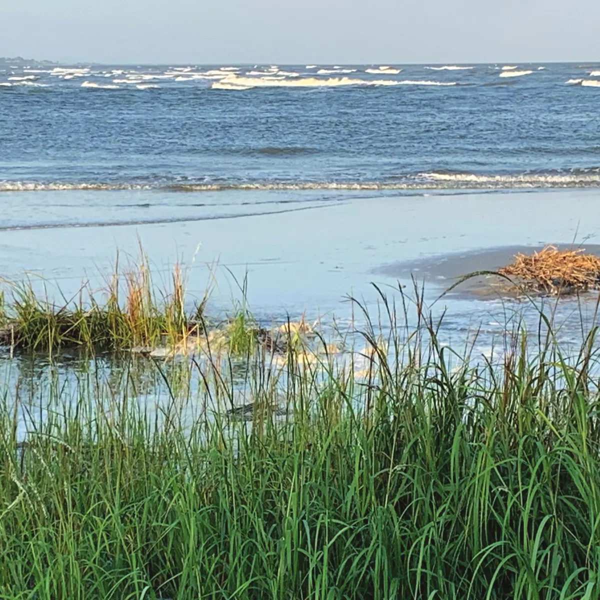 Salt marsh at the edge of Saint Simons Island, Georgia